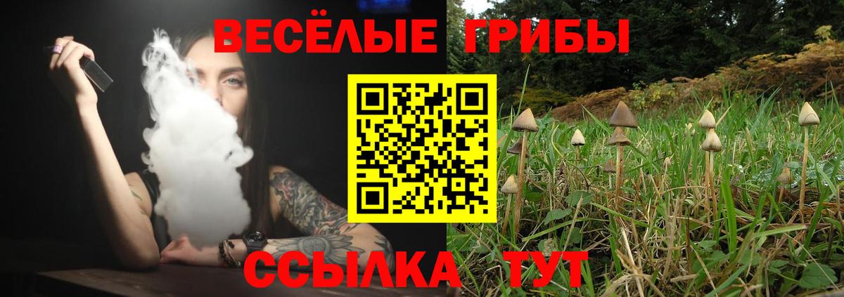 Кириши  Галлюциногенные грибы ЛСД  Вход с VPN 